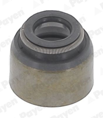 PAYEN Valve stem seal Article number: PA079 cheaply
