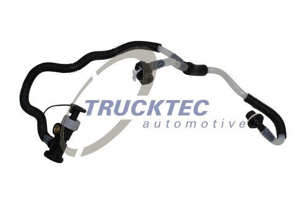 TRUCKTEC AUTOMOTIVE Timing Case Article number: 02.10.163 cheaply