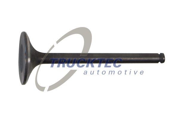 TRUCKTEC AUTOMOTIVE Guide Rails Kit, timing chain Article number: 02.12.187 cheaply