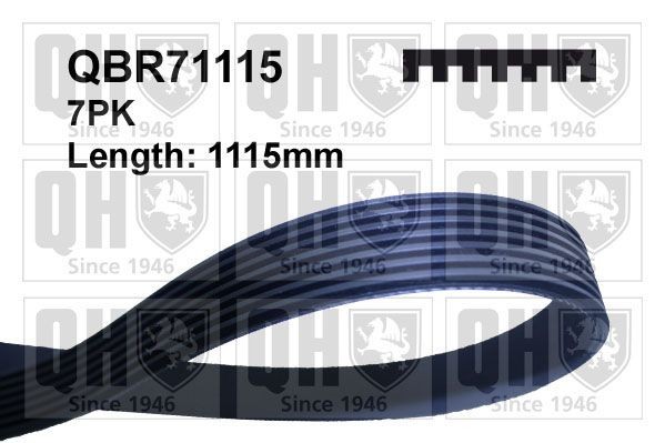 QUINTON HAZELL Serpentine belt Article number: QBR71115 cheaply