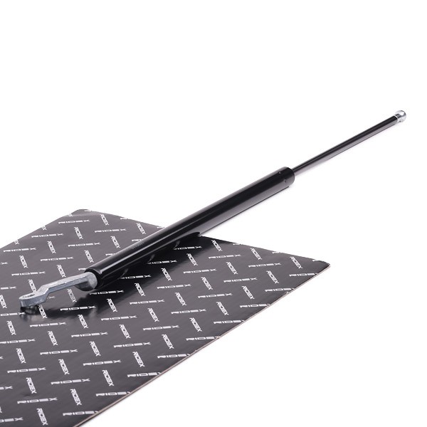 RIDEX Dujinė spyruoklė, bagažinė prekės numeris: 219G0332 nebrangu