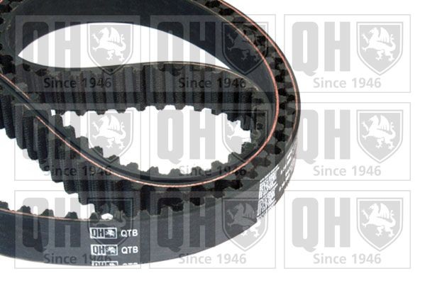 QUINTON HAZELL Timing Belt Article number: QTB170 cheaply