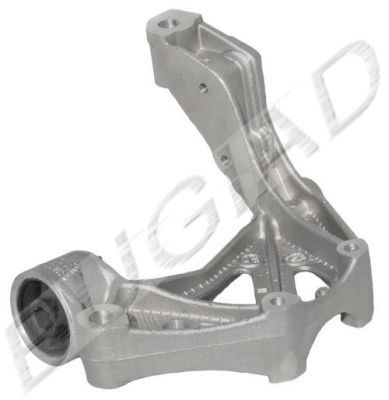 BUGIAD Holder, control arm mounting Article number: BSP20325 cheaply