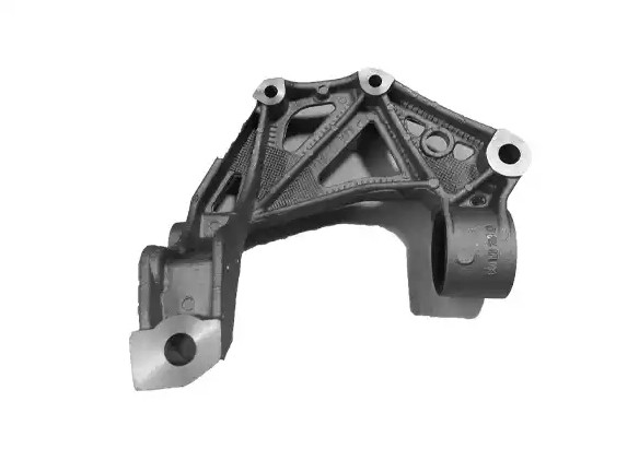 BUGIAD Holder, control arm mounting Article number: BSP20325PROKIT cheaply