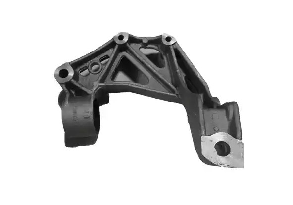 BUGIAD Holder, control arm mounting Article number: BSP20326PROKIT cheaply