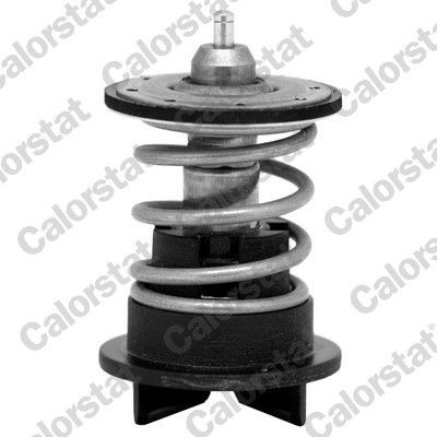 CALORSTAT by Vernet Termostat, lichid racire număr articol: TH7272.89 ieftin