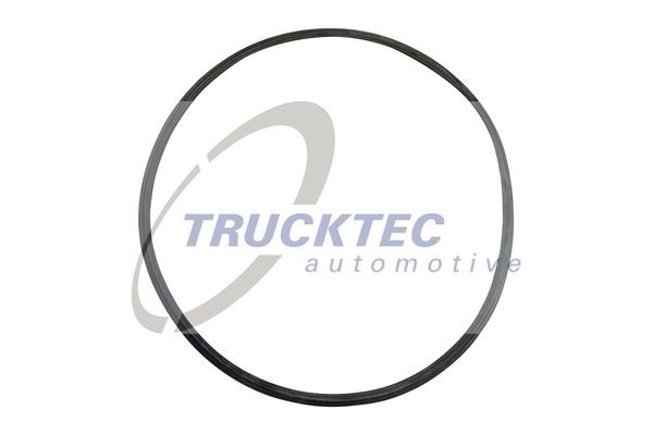 TRUCKTEC AUTOMOTIVE Tesnilo, ohisje zracnega filtra številka artikla: 01.14.025 poceni
