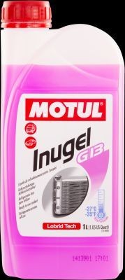 MOTUL Antifreeze Article number: 104376 cheaply