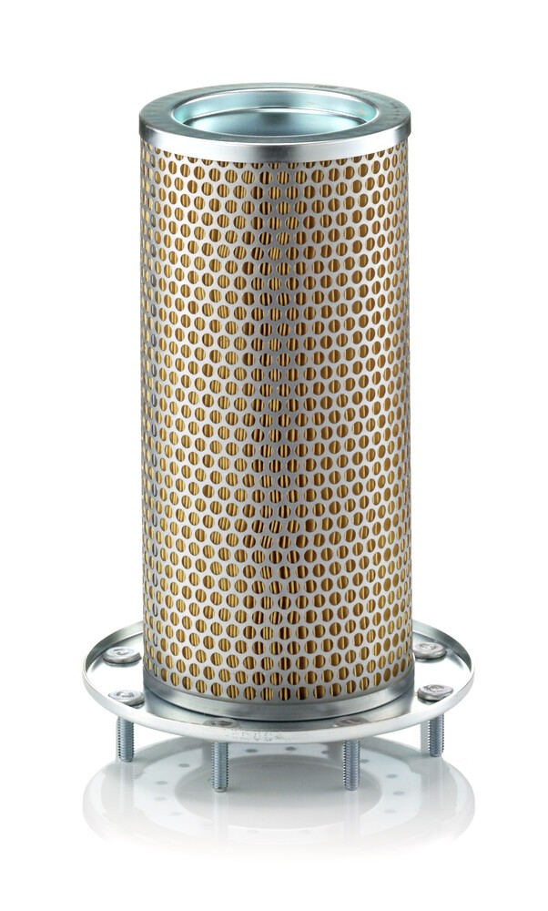 MANN-FILTER Filtro aria secondaria Numero articolo: C 16 140 poco costoso