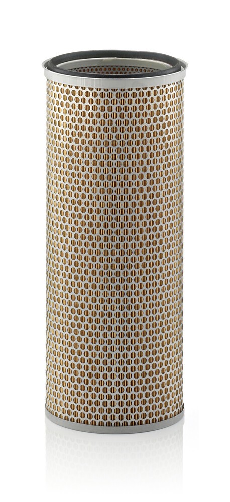 MANN-FILTER Sekundārā gaisa filtrs raksta numurs: C 19 105 lēti