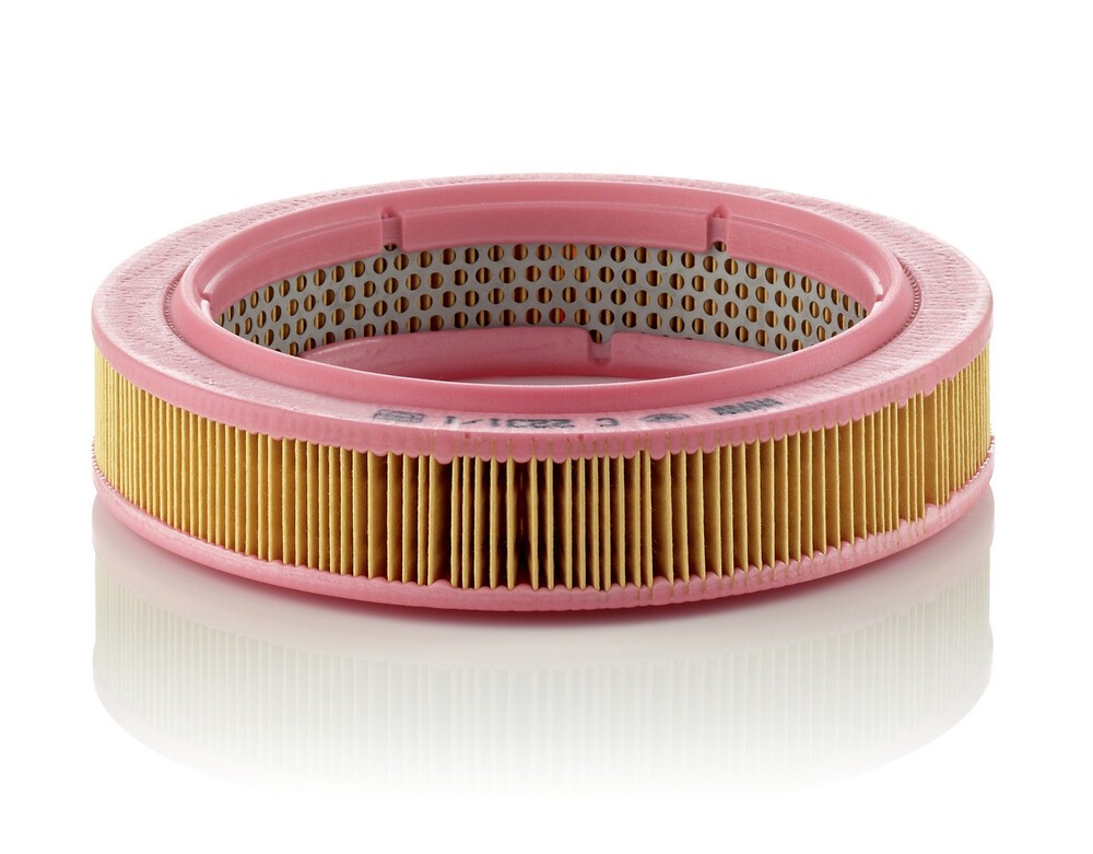 MANN-FILTER Filtro aria Numero articolo: C 2231/1 poco costoso