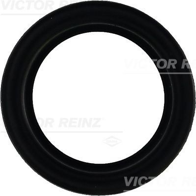 REINZ Rocker cover gasket Article number: 71-27159-00 cheaply
