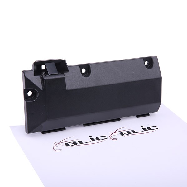 BLIC Glove Compartment Lock Article number: 6010-03-032418P cheaply