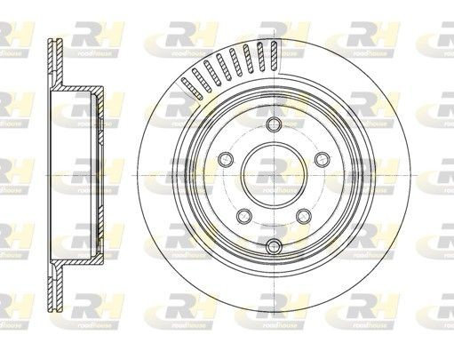 ROADHOUSE Brake disc Article number: 61091.10 cheaply
