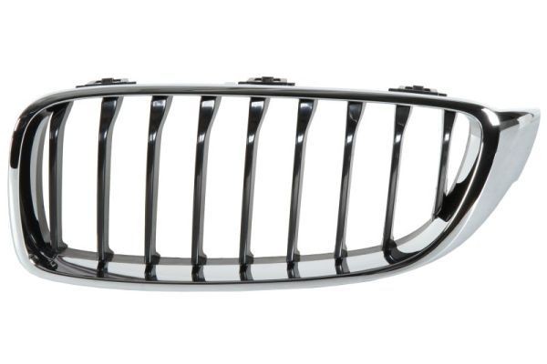 BLIC Radiator Grille Article number: 6502-07-0070995P cheaply