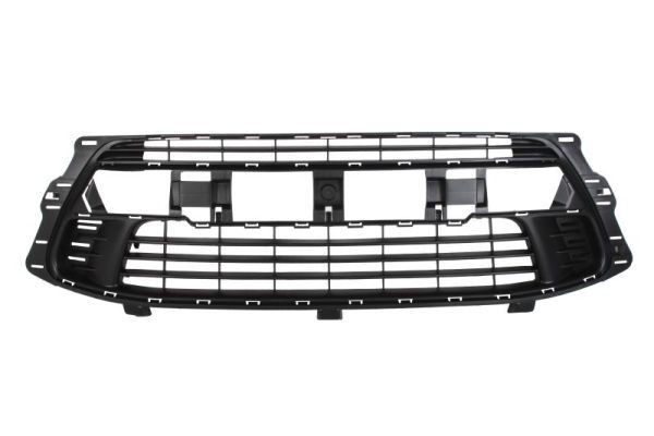 BLIC Bumper grill Article number: 6502-07-0537914Q cheaply