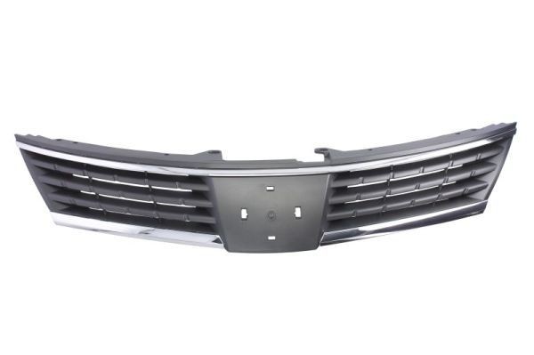 BLIC Radiator Grille Article number: 6502-07-1636990P cheaply