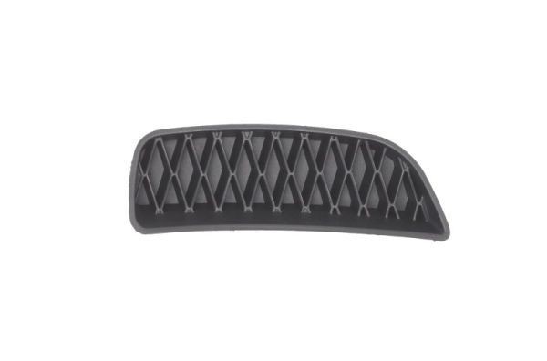 BLIC Bumper grill Article number: 6502-07-2013996P cheaply