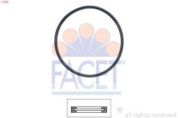 FACET Gasket, thermostat Article number: 7.9705 cheaply