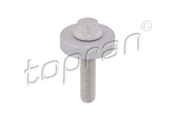 TOPRAN Pulley Bolt Article number: 701 418 cheaply