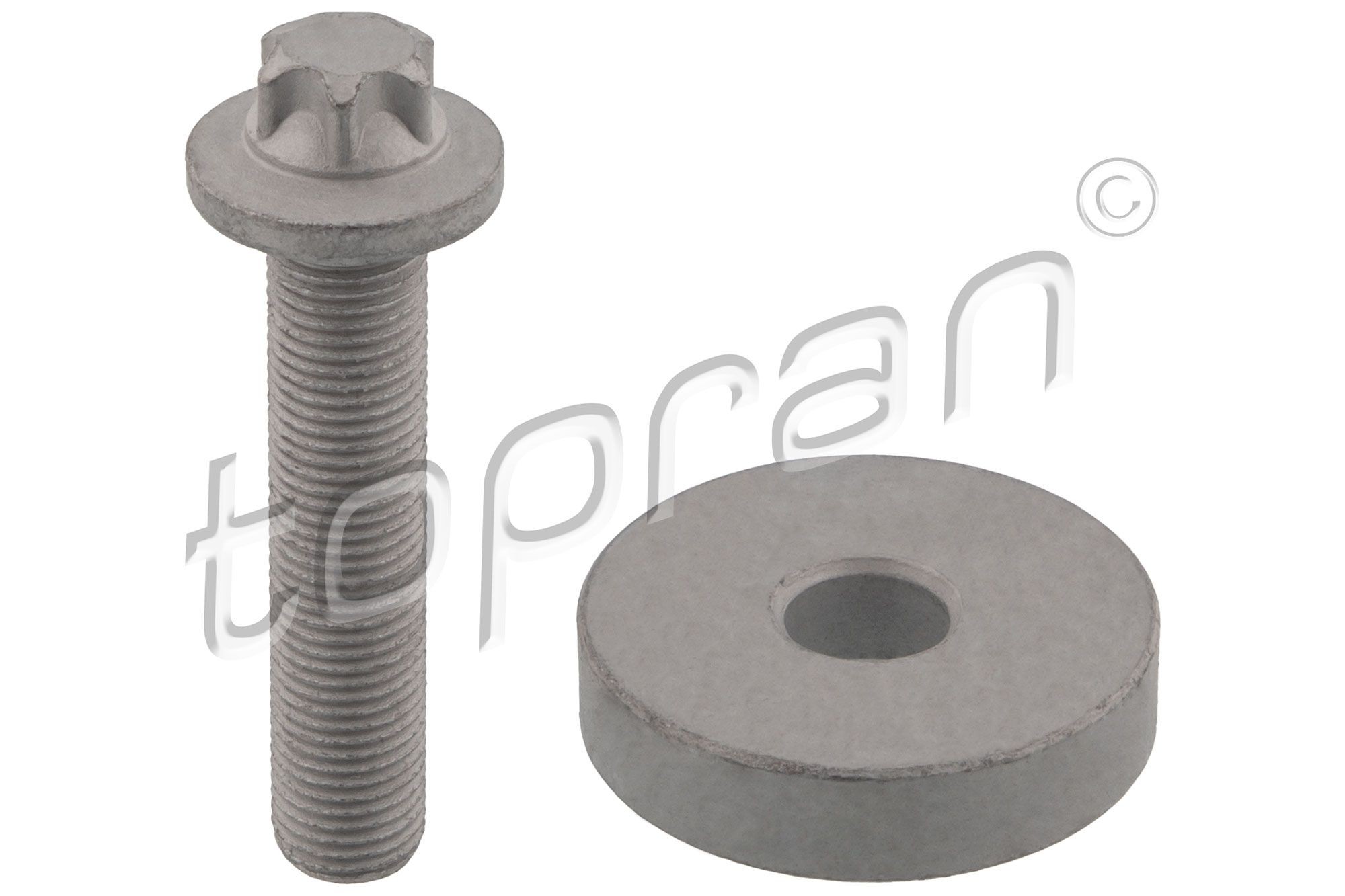 TOPRAN Pulley Bolt Article number: 701 519 cheaply