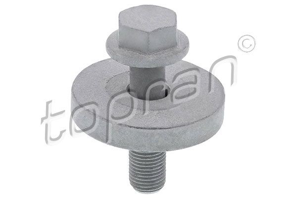 TOPRAN 701 614 Pulley Bolt SCÉNIC 2.0 16V (JA1D, JA17) 140 PS Petrol 2003