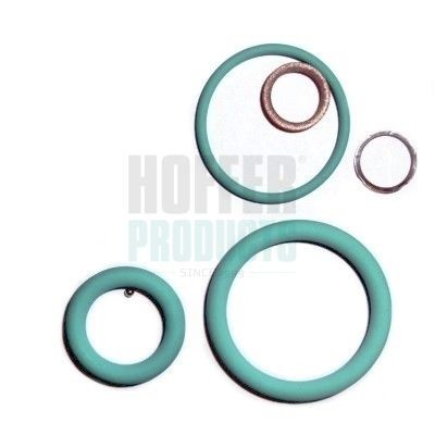 HOFFER Repair Kit, injection nozzle Article number: 8029563 cheaply