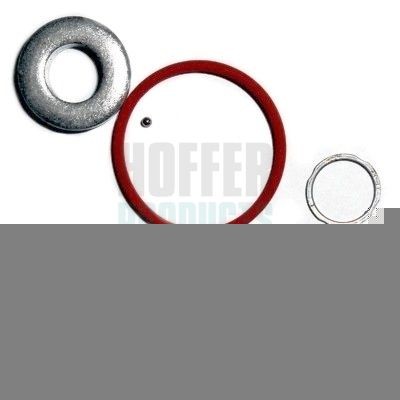 HOFFER Repair Kit, injection nozzle Article number: 8029572 cheaply