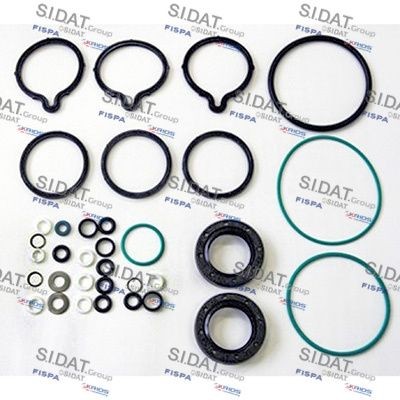 FISPA 81.049 Repair Kit, common rail system SCÉNIC 1.9 dCi 102 PS Diesel 2003