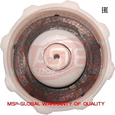 MASTER-SPORT Radiator cap Article number: 8200048024-PCS-MS cheaply