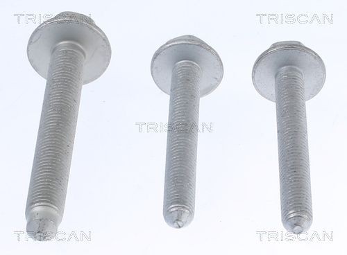 TRISCAN Repair kit, wheel suspension Article number: 8500 29401 cheaply