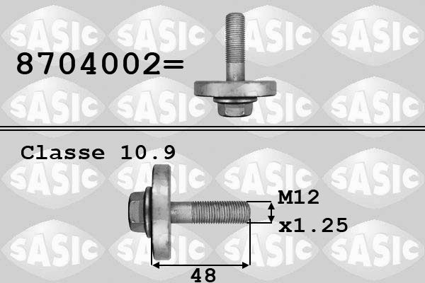 SASIC 8704002 Pulley Bolt SCÉNIC 2.0 16V (JA1D, JA17) 140 PS Petrol 2003
