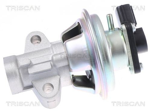TRISCAN EGR-klapp Artikli number: 8813 16069 soodsalt