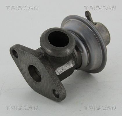 TRISCAN EGR-klapp Artikli number: 8813 25011 soodsalt