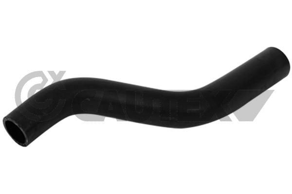 CAUTEX 951011 Nut, stub axle DOBLO 1.6 D Multijet (263AXD1B, 263AXX1B) 105 PS Diesel
