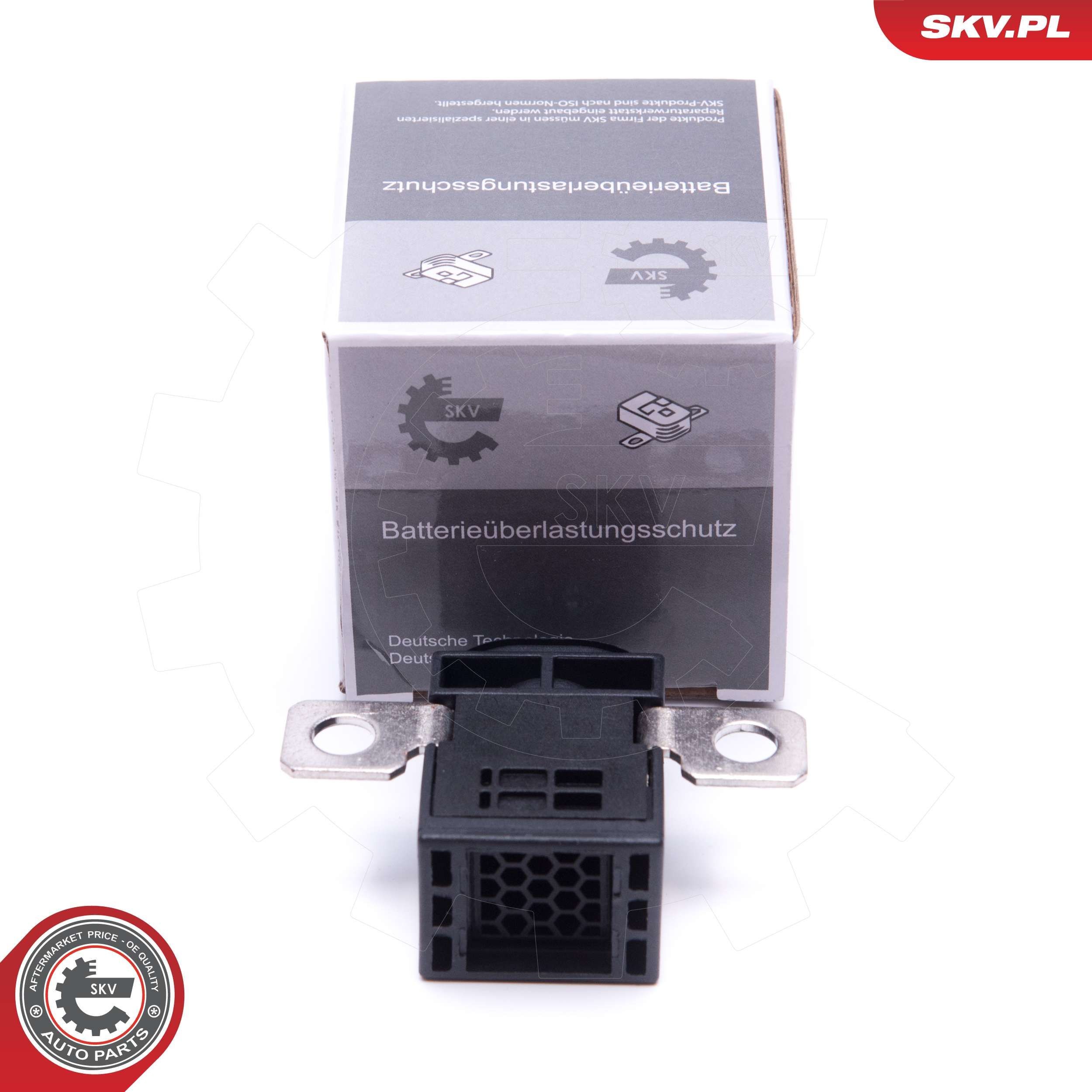 ESEN SKV Sensor, battery management Article number: 96SKV004 cheaply