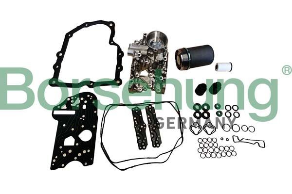 Borsehung Automatic transmission filter Article number: B12424 cheaply