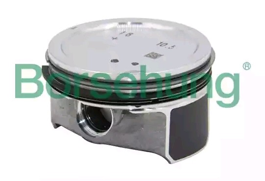 Borsehung Piston Ring Kit Article number: B13577 cheaply