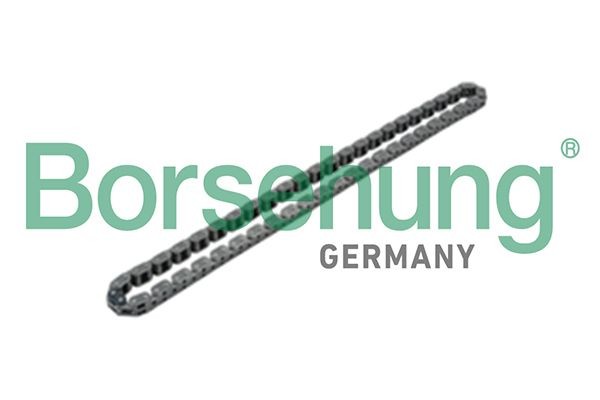 Borsehung B17905 Kæde, oliepumpedrev TIGUAN 2.0 TSI 4motion 180 HK Benzin
