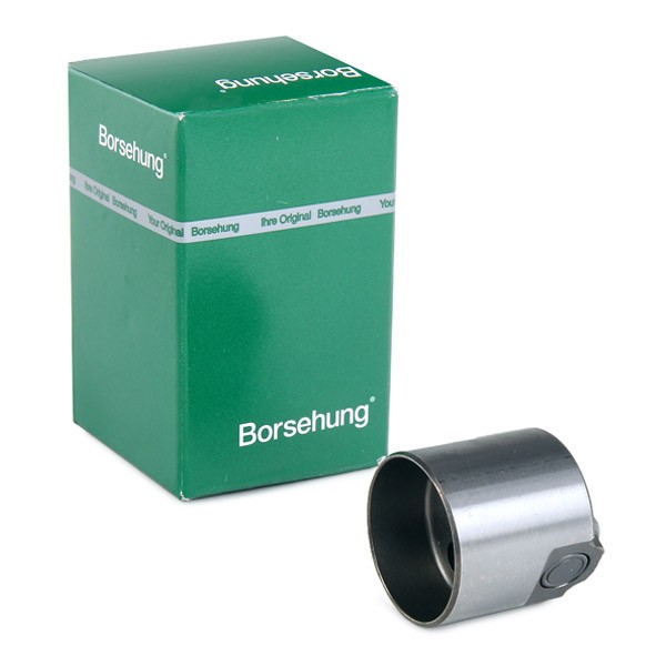 Borsehung Plunger, high pressure pump Article number: B18195 cheaply