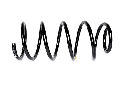 BSG Coil spring Article number: BSG 30-305-007 cheaply