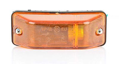 BSG Auxiliary Indicator Article number: BSG 60-810-010 cheaply