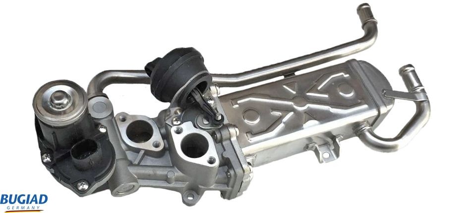 BUGIAD EGR Module Article number: BSP25012 cheaply