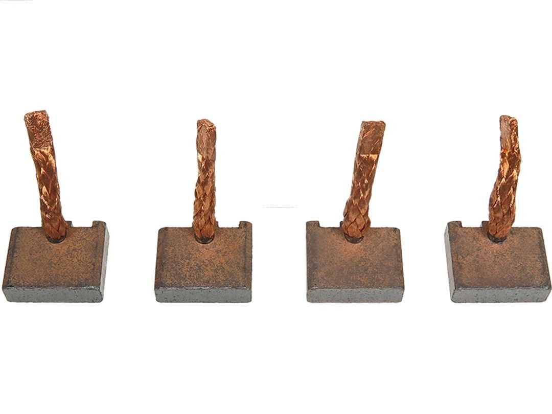 AS-PL Carbon Brush, starter Article number: BSX220-221 cheaply