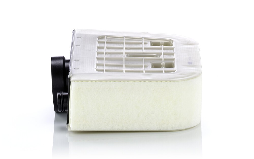 MANN-FILTER Air filter Article number: C 38 011 cheaply