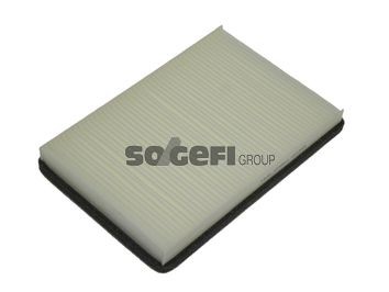 FRAM Pollen filter Article number: CF5864 cheaply