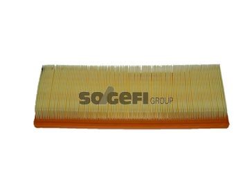 FRAM Pollen filter Article number: CF5972 cheaply