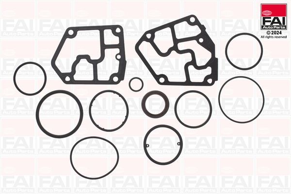 FAI AutoParts Crankcase gasket set Article number: CS1011 cheaply