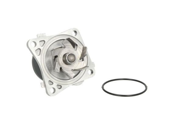 THERMOTEC Water pump Article number: D15045TT cheaply