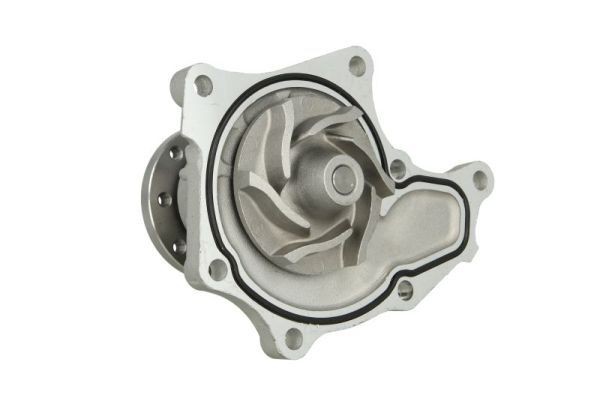THERMOTEC Water pump Article number: D19024TT cheaply